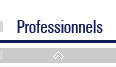 professionnels