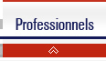 professionnels